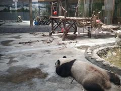 -西安秦岭野生动物园