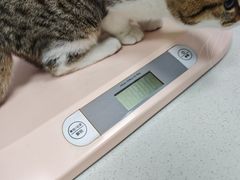 -艾贝尔宠物医院·宠保定点·超声绝育·免疫点(樱花路店)