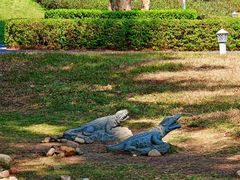 -宝安西湾红树林湿地公园