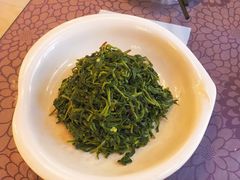 养生枸杞苗-老毛手抓·盐池滩羊非遗手抓(宁夏总店)