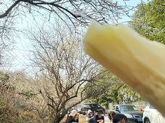 -广州市流溪河国家森林公园