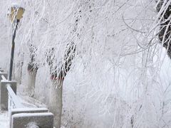 -中旅松花湖滑雪场