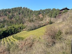 -敬亭山风景名胜区