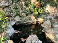 -谷咖啡·鲜花绿植花园餐厅