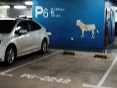 -虹桥综合交通枢纽-P6停车库