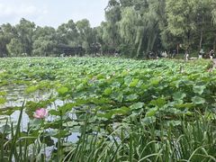 -承德避暑山庄景区