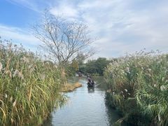 -沙家浜风景区