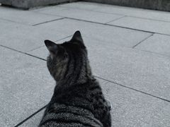 -湛山寺