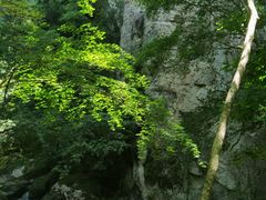 -牛背梁国家森林公园