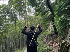 -莫干山风景区