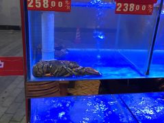 -小龍鳳·港式海鲜打边炉(沙湖路店)
