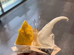 -野人先生现做冰淇淋(西安赛格店)
