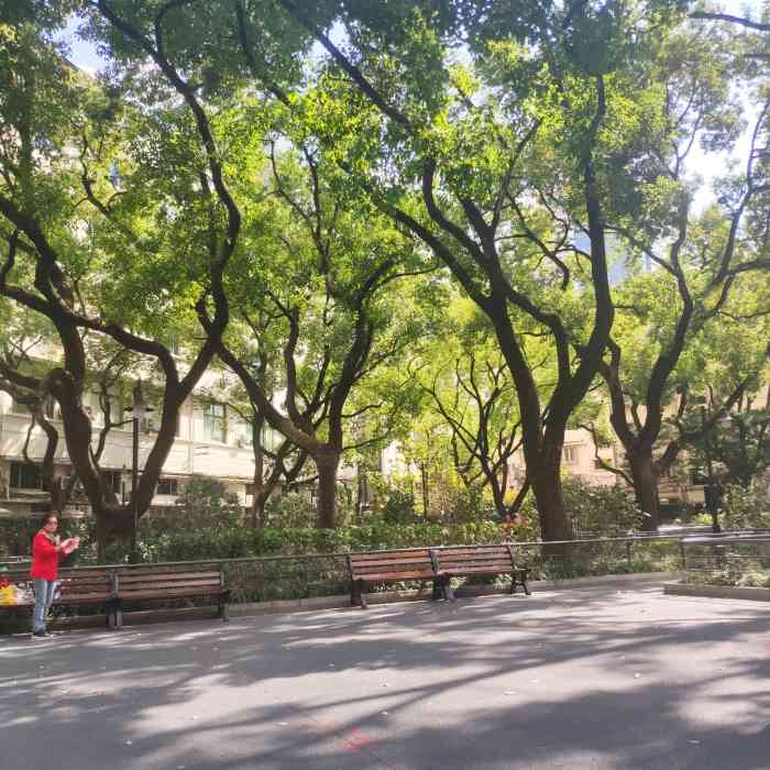 西康公园-"特别mini的一个小公园,几乎比北京的街."-大众点评移动版