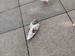 -灵山胜境