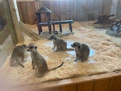 -珠海海泉湾神秘岛亲子乐园