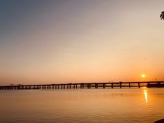 -宝安西湾红树林湿地公园