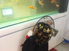 -玛利亚蒙特梭利国际早教