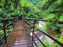 -花溪风景区