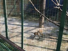 -兰陵国家农业公园