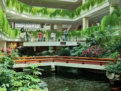 -广州白天鹅宾馆