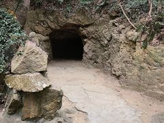 -上海佘山国家森林公园天马山园