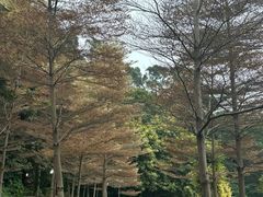 -厦门悦华酒店
