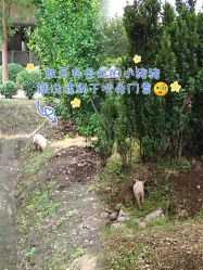 -优沃得自然教育农场·冰雪乐园·生日会·研学