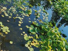 -北京民族园葉子里酒店(鸟巢店)