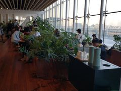 -Seesaw Coffee(朝阳大悦城店)