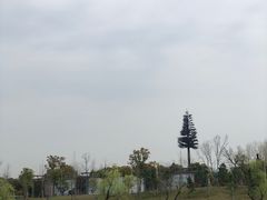 -太湖湖滨国家湿地公园-停车场
