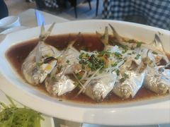 -老济南·地道济南菜(大明湖店)