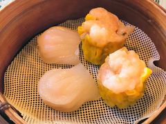 -憶廟街 X 沙角邨(太古城店)
