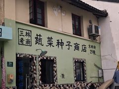 -三林塘老街