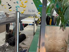 -绿壁虎攀岩基地(Tcar店)