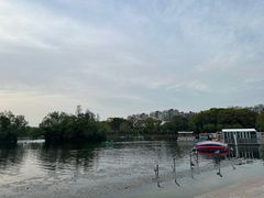 -新江湾城公园