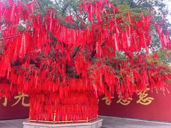 -广州莲花山旅游区
