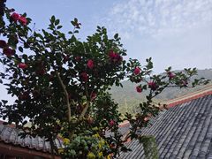 -灵光寺