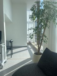 -JNK皮肤管理中心