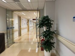 -杭州贝瑞斯美华妇儿医院·早孕·产检·儿科