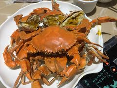-海大大蒸汽海鲜餐厅·粤菜·特色小炒(欢乐颂店)