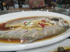 -老马家·舌尖上的西塘美食