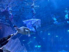 -华夏文旅海洋公园