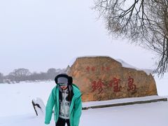 -珍宝岛