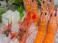 -初花·日本料理