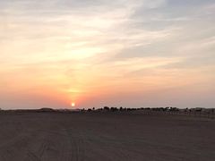 -迪拜沙漠冲沙