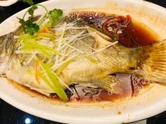 -好妈王饺子(滂江街店)