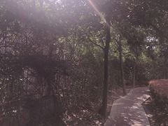 -九田家黑牛烤肉料理(溧阳吾悦店)