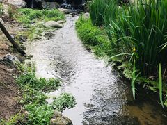 -白水寺森林公园
