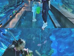-石家庄海洋公园
