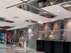 -上海金逸影城(静安大悦城店（原新恒星影城）)